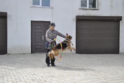 ПВ
