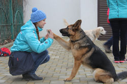 IMG_7876.JPG