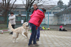 IMG_7835.JPG