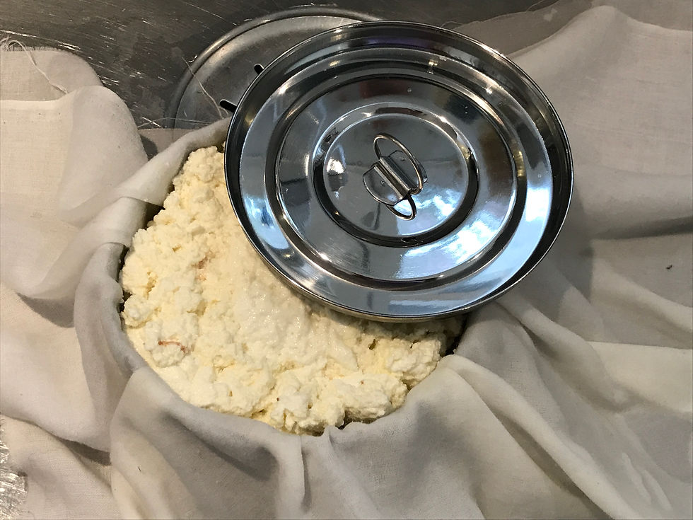 Miniaturbild: Indische Paneer-Press CHF 9.99