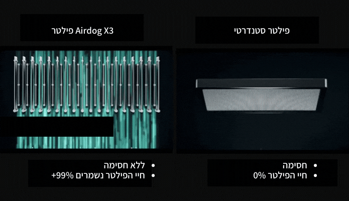 עותק של עותק של עותק של עותק של עותק של עותק של עותק של עותק של עותק של ללא שם3.gif