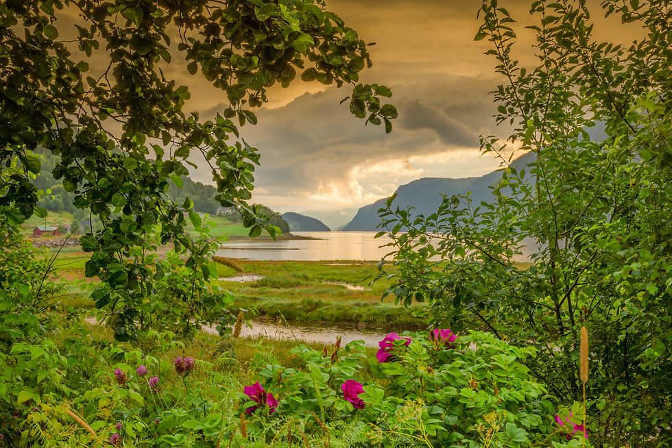 Rose tinted view of Norway