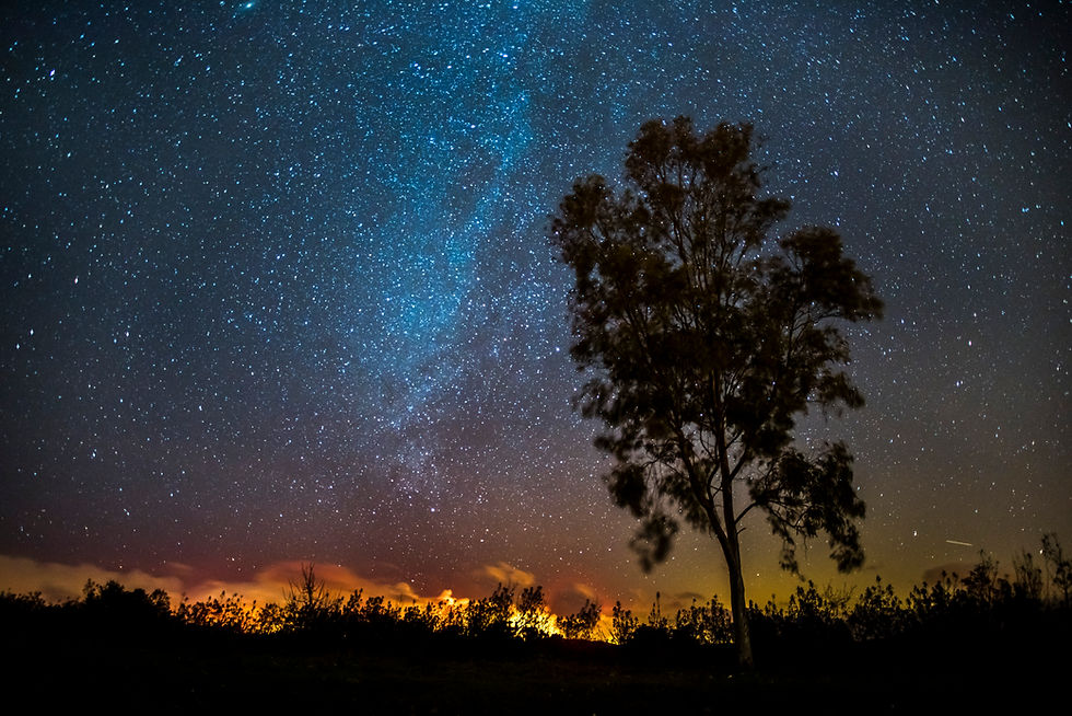 Bravura, Portugal