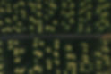 ResiduosEnRecursos_FRESA_CTSA.jpg