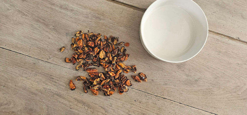 Miniature : Moule à lèvre verte entières séchées