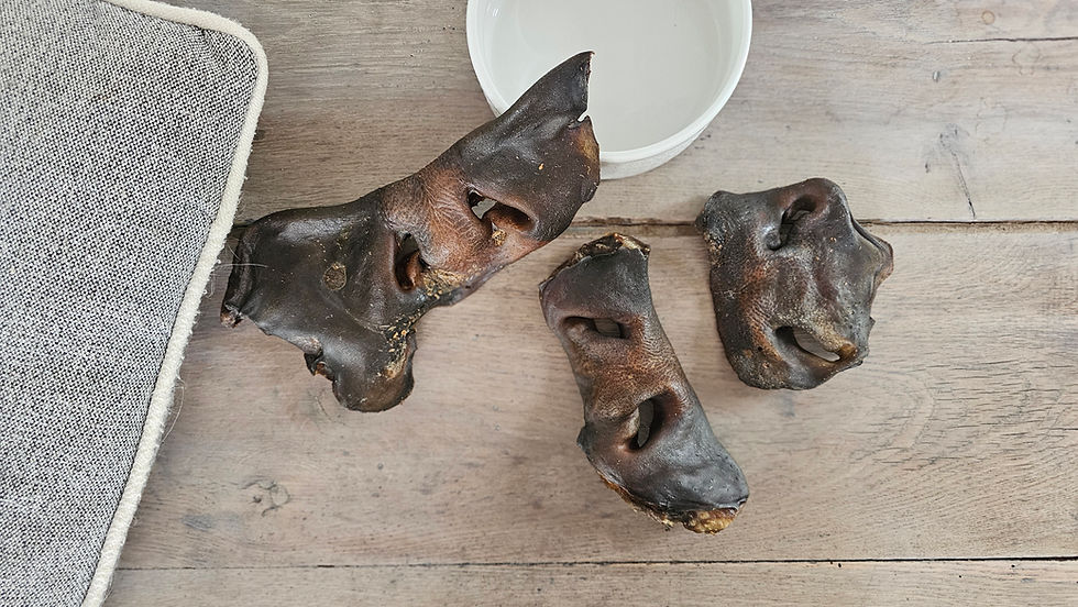 Miniature : Nez de boeuf entier