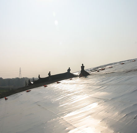 090902 Crown Vantage Type II Cell 045.jpg