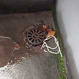 防水用の排水口の清掃します