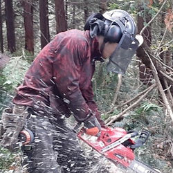 作業中