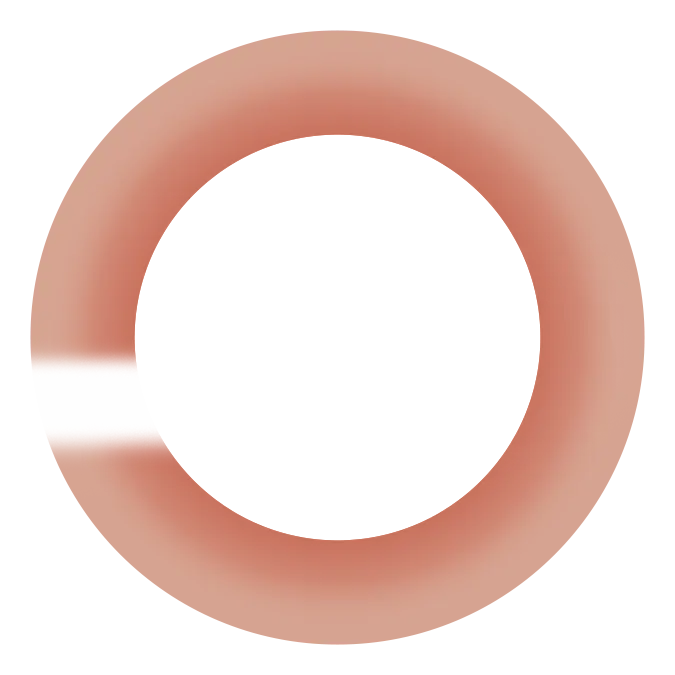 For Desktop_New_BG Ring_Hero Graphics_KunalKishore.webp
