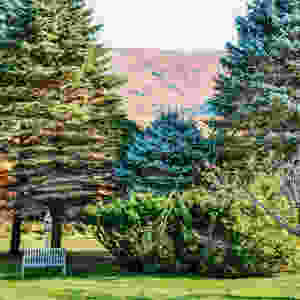 Vermont Home Decor Blog