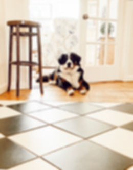 Home Entryway with Dog.jpeg