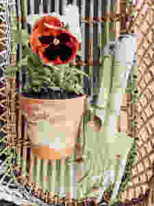 Gardener's Terracotta Cupboard