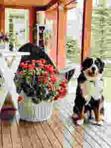 Vintage Porch Decor and Gardener's Terracotta Cupboard