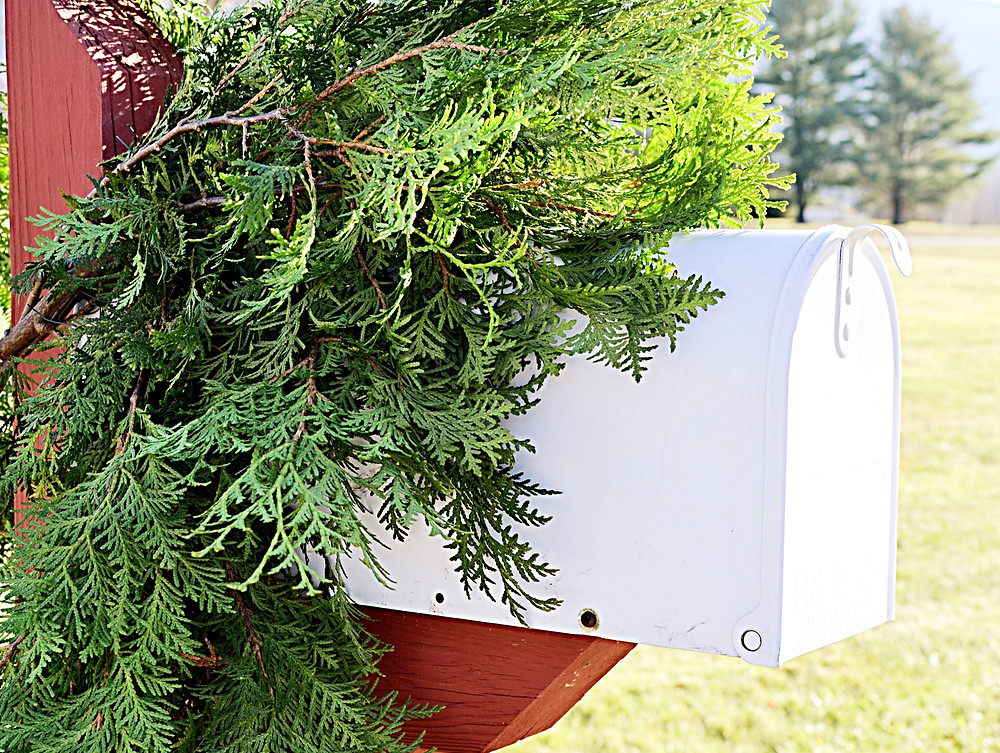 Decorating a Mailbox for the Holidays!