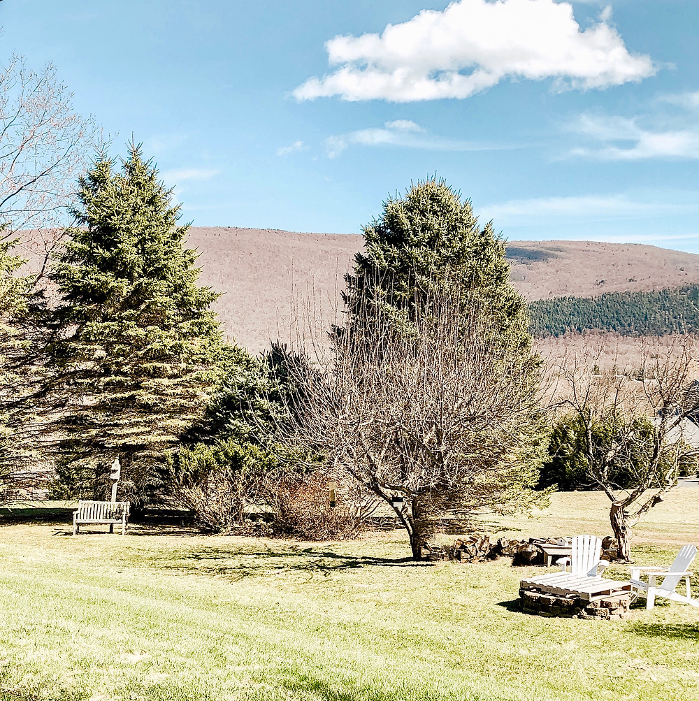 Backyard at our home in Vermont in early Spring.