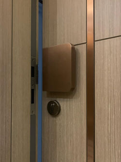 Entrance Door Lock
