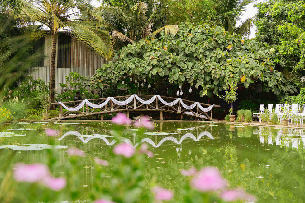 Scenic pond with bridge and lush greenery.