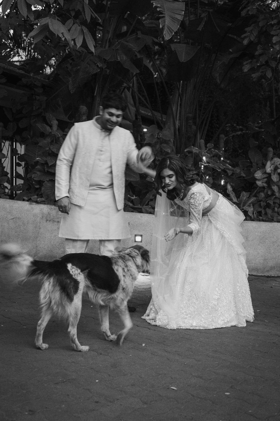 Bride and groom interacting with a dog outdoors.