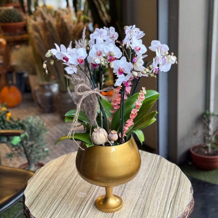 Bakır Vazoda Orkide