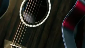 New Electric-Acoustic Guitar