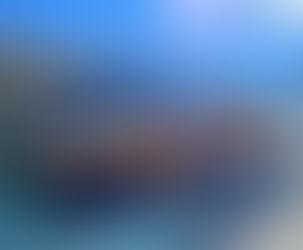 We Have a New School Bus!