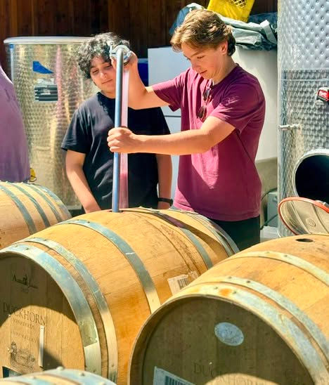 Exploring Winemaking