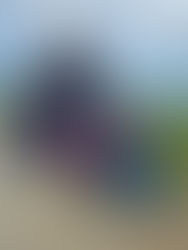 Embracing Outdoor Education