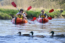 Kayaking around the waterways local to Fairford