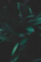 AEnB2UoXsMg5AJHLg9VEDynIW5ZxkAyFTbnhnVbXzThaLIJfbu_CidFhKtCnZuZBDXcRVcDh4wzFhh35ypdyl_sCmp