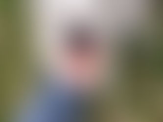 THEO - Theo detto Teo