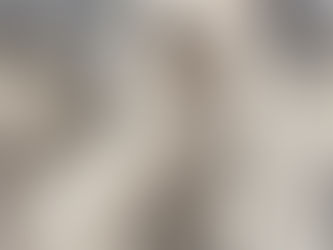 MALLO - Taglia media, meticcio maremmano