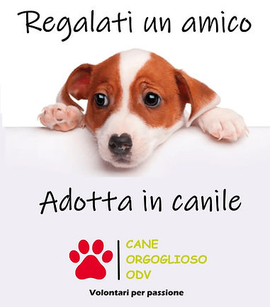 home_amici