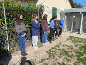 Formazione Volontari - 2° edizione 2025