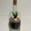 Thumbnail: Terrarium #4