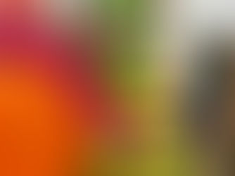 Motricité en posture ventrale