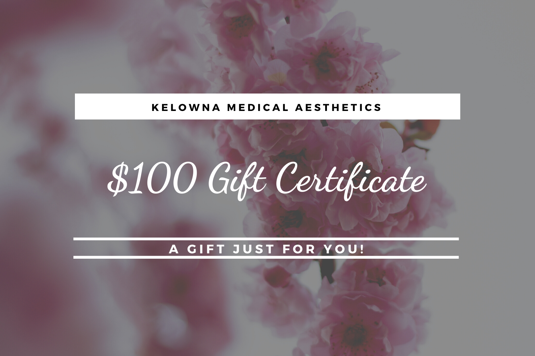 $100 Gift Certificate