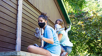 Nature conservation and wild bees