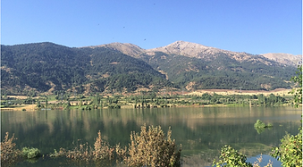 Support Women’s Cooperative