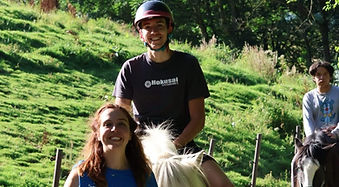 Horses and Ponies Farm