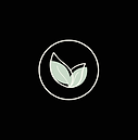 Two leaves slightly overlapping at the bottom with one decorative circle around both of them. This also functions as the Home button