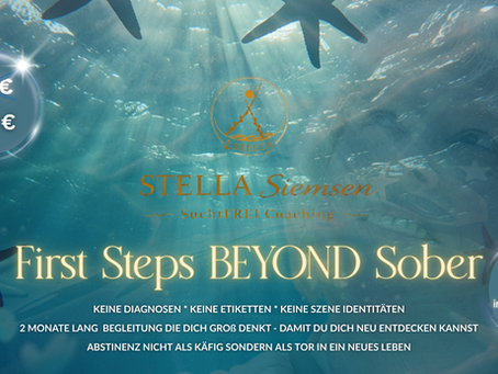 Programmflyer First Steps Beyond Sober