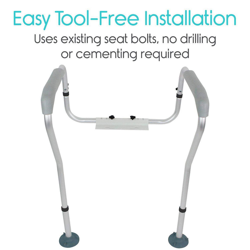 Thumbnail: Toilet Safety Rail