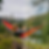 Thumbnail: Faded Film Lightroom Preset