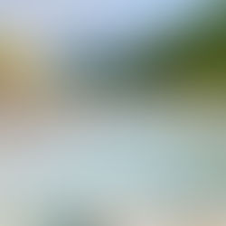 Hugging Bubbles in Jackson Hole