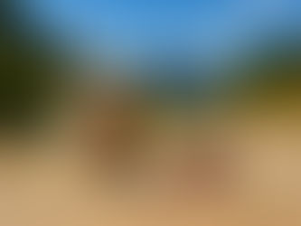 Rooted in the River: The Strength of Soft Things