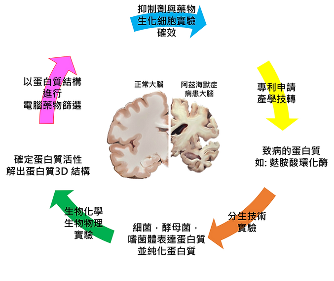 實驗技數.png