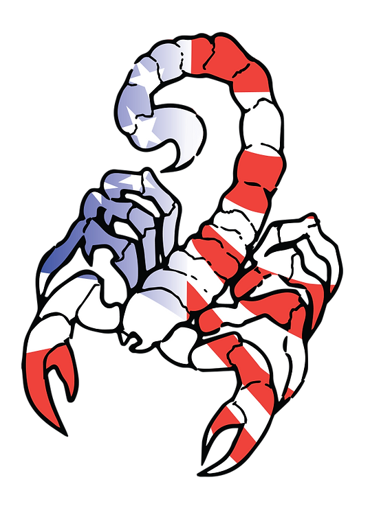SDTG_Scorpion-Symbol