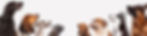 Dogs_In_LineUp_edited.jpg