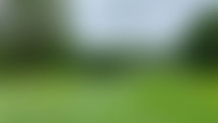 CPG Media Coverage for Bearsted Golf Club